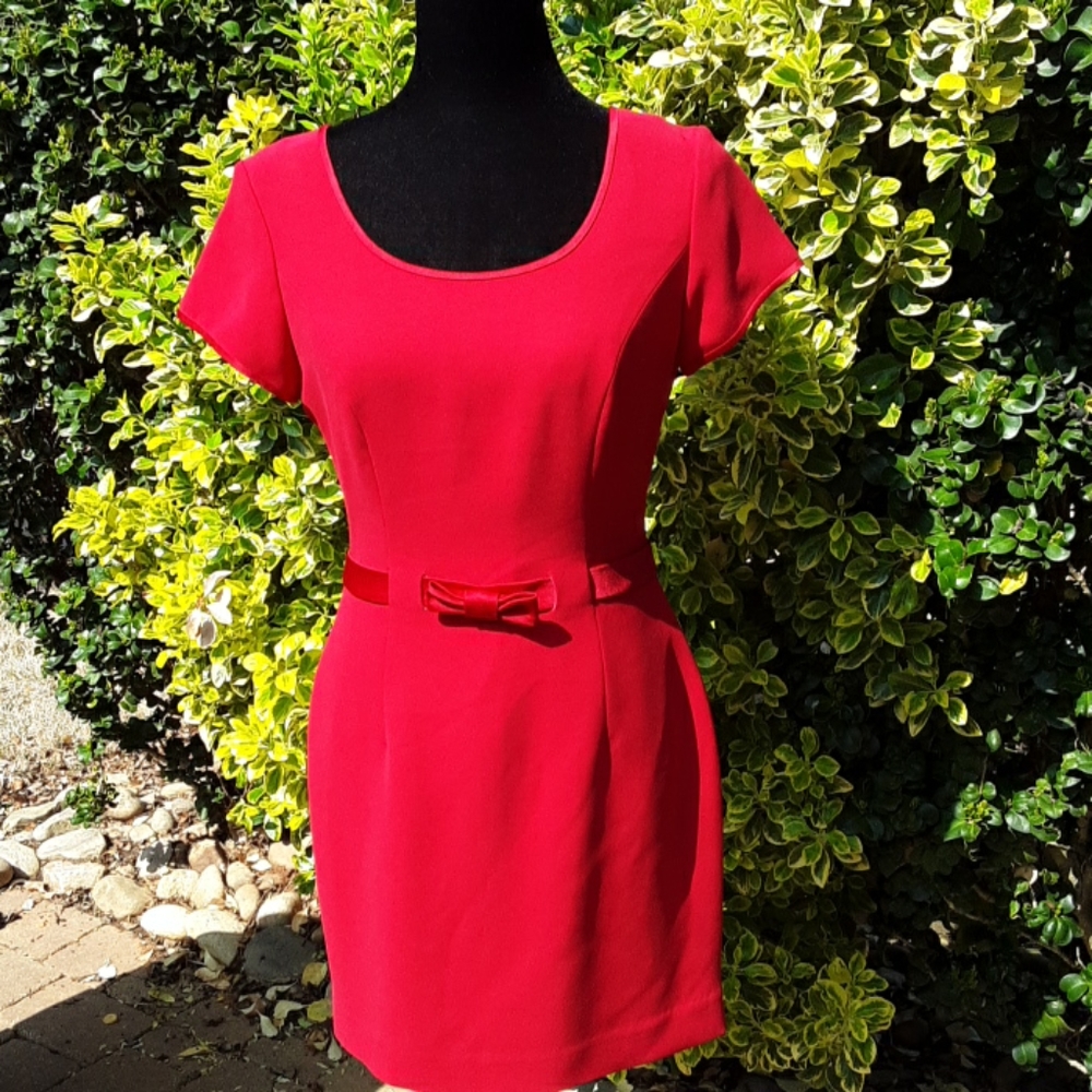 Andrea Polizzi for Rex Lester Petite Dress